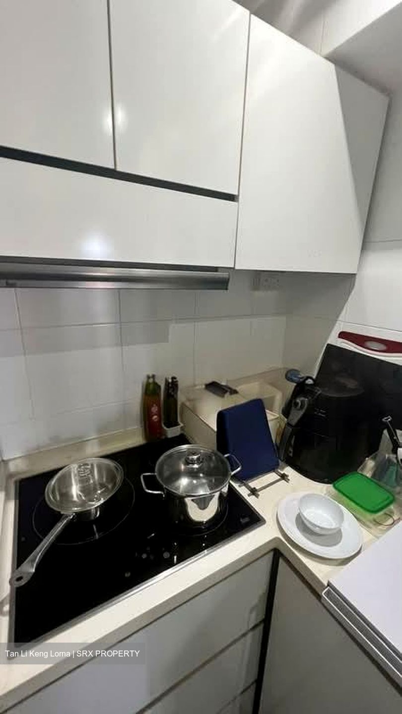 Blk 1A The Pinnacle@Duxton (Bukit Merah), HDB 4 Rooms #579297031